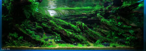 The Returning Breeze - Aqua Plants Hub
