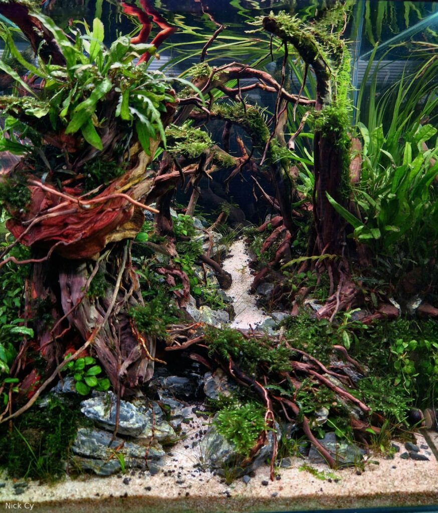 The Silent Groves - Aqua Plants Hub