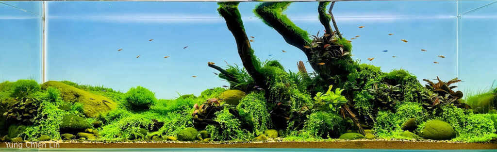 The Sky - Aqua Plants Hub
