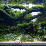 The Verdant Labyrinth - Aqua Plants Hub