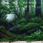 The Waking Forest - Aqua Plants Hub