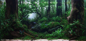 The Waking Forest - Aqua Plants Hub