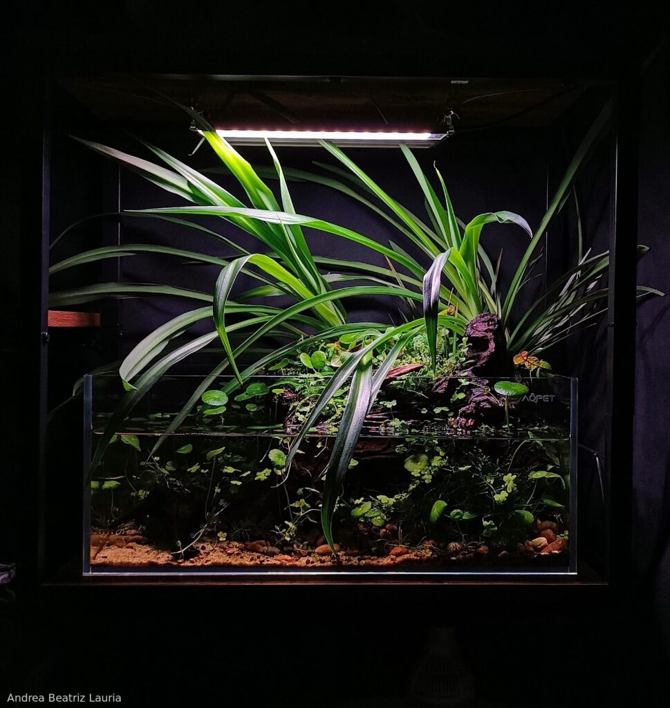 The green escape - Aqua Plants Hub