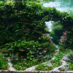 Time - Aqua Plants Hub
