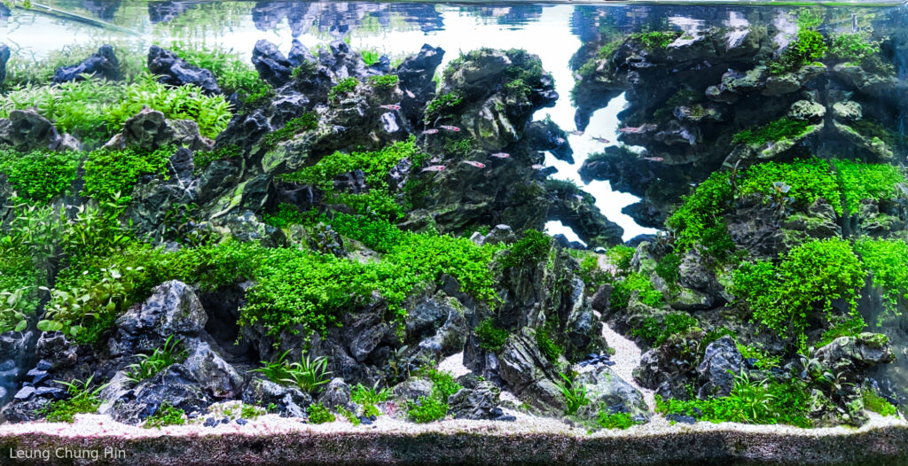 Time Rift - Aqua Plants Hub