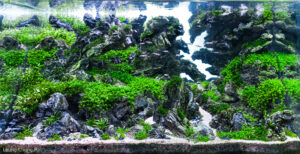 Time Rift - Aqua Plants Hub