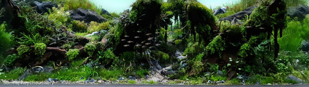 Unbound - Aqua Plants Hub