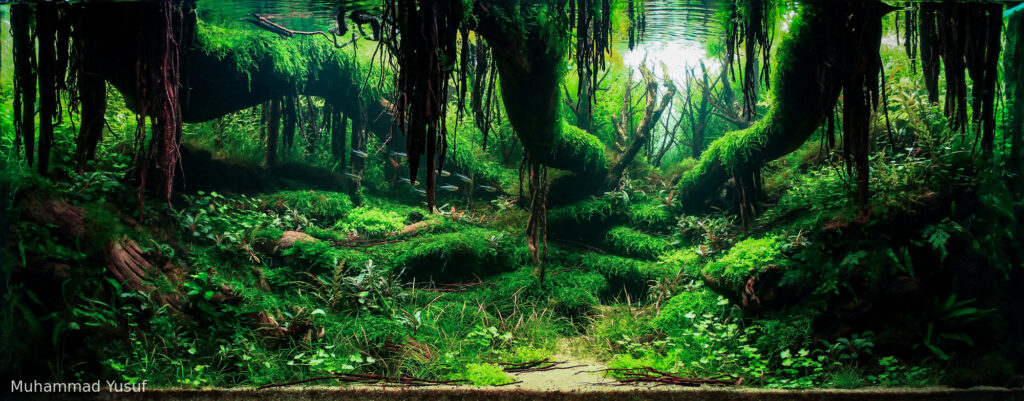 Veins Of Nature 2 - Aqua Plants Hub