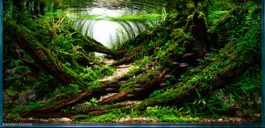 Verdant Cascade - Aqua Plants Hub