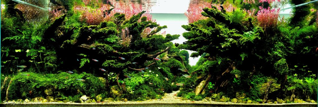 Web of life - Aqua Plants Hub