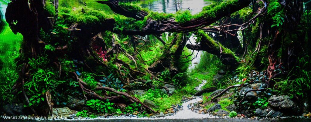Whisper grove - Aqua Plants Hub