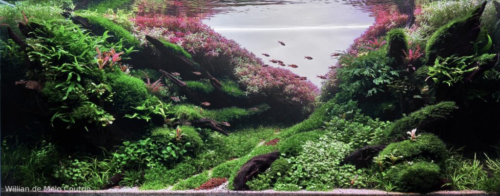 Whispering Valley - Aqua Plants Hub