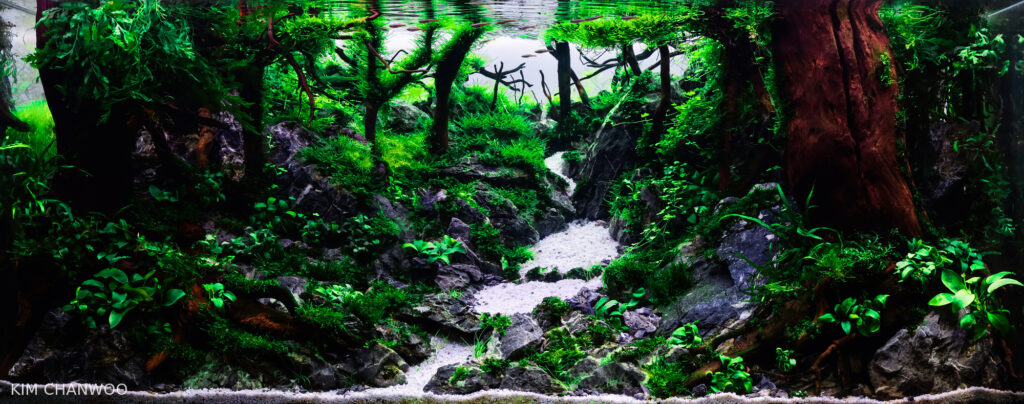 Whispers of Kikuch - Aqua Plants Hub