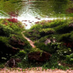 Whispers of Nature - Aqua Plants Hub