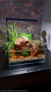 Whispers of Sado - Aqua Plants Hub