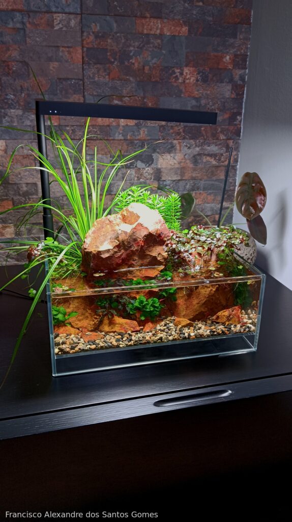 Whispers of Sado - Aqua Plants Hub