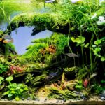 Whispers of the wild - Aqua Plants Hub