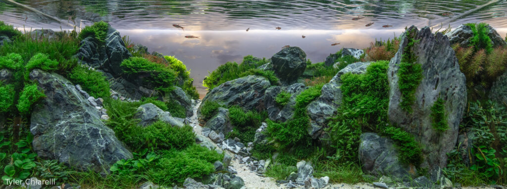 Yūgen: Valley of Depth - Aqua Plants Hub