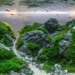 Yūgen: Valley of Depth - Aqua Plants Hub