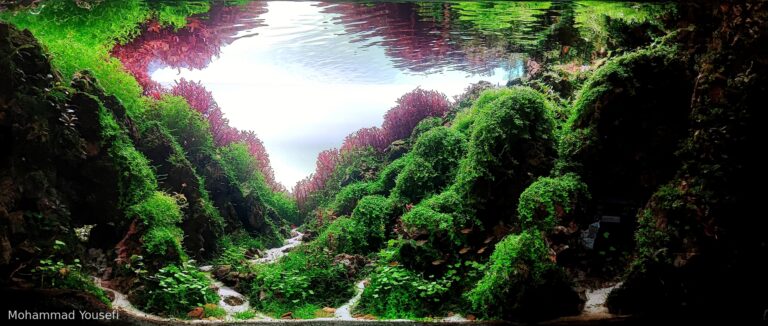 green mountain