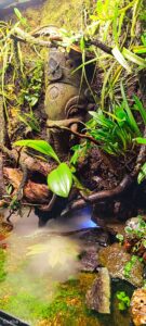 "hinduista szentély" - “hinduista szentély” - Aqua Plants Hub