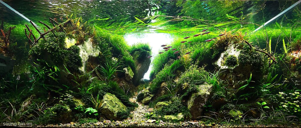 the concrete utopia - Aqua Plants Hub