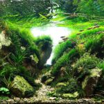 the concrete utopia - Aqua Plants Hub