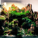 zhangjiajie lake - Aqua Plants Hub