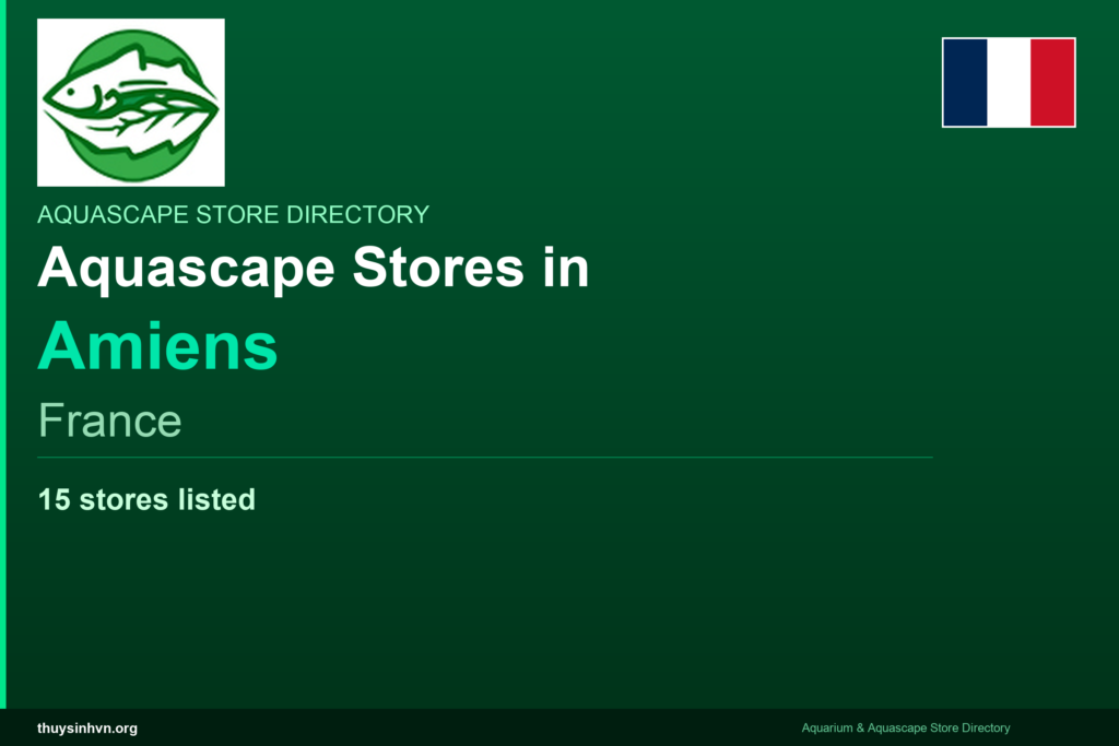 featured_amiens_france - Aquascape & Planted Tank Guide