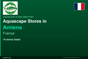 featured_amiens_france - Aquascape & Planted Tank Guide
