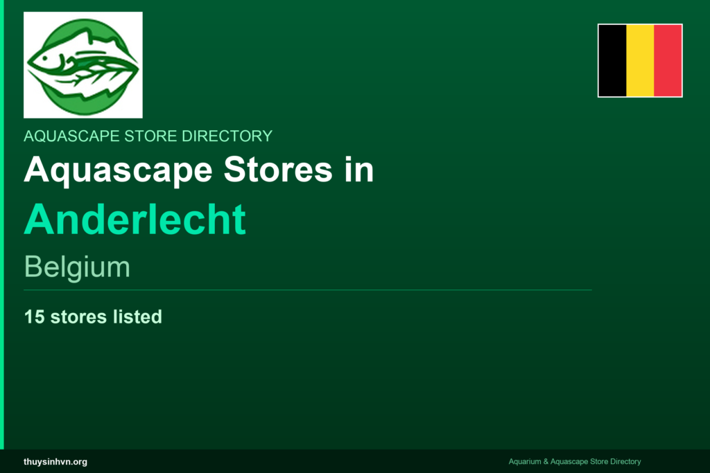 featured_anderlecht_belgium - Aquascape & Planted Tank Guide