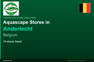 featured_anderlecht_belgium - Aquascape & Planted Tank Guide