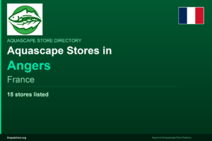 featured_angers_france - Aquascape & Planted Tank Guide