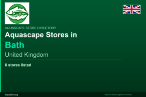 featured_bath_united_kingdom - Aquascape & Planted Tank Guide
