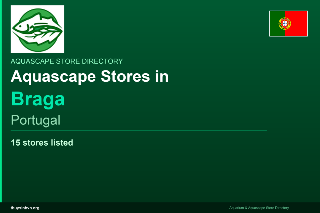 featured_braga_portugal - Aquascape & Planted Tank Guide