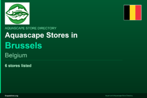 featured_brussels_belgium - Aquascape & Planted Tank Guide