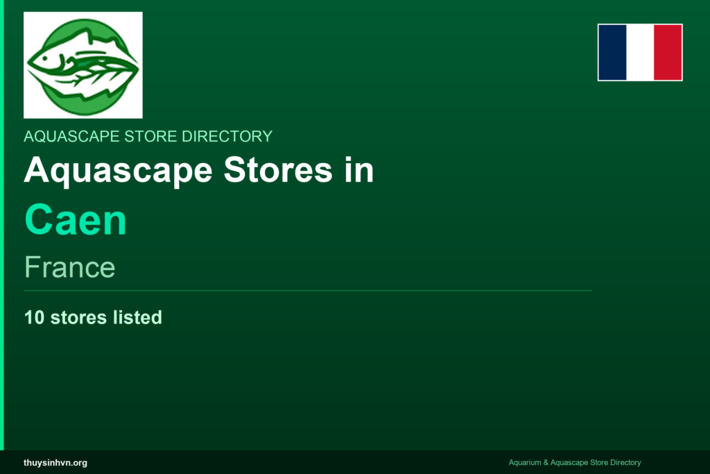 featured_caen_france - Aquascape & Planted Tank Guide