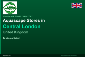 featured_central_london_united_kingdom - Aquascape & Planted Tank Guide