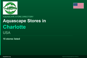 featured_charlotte_usa - Aquascape & Planted Tank Guide