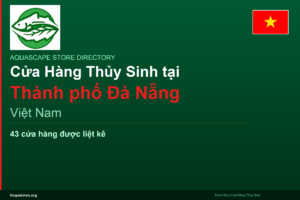 featured_da-nang_vi - Aquascape & Planted Tank Guide