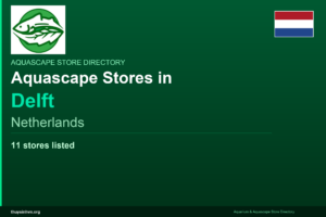 featured_delft_netherlands - Aquascape & Planted Tank Guide