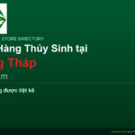 featured_dong-thap_vi - Aquascape & Planted Tank Guide