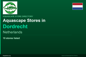 featured_dordrecht_netherlands - Aquascape & Planted Tank Guide