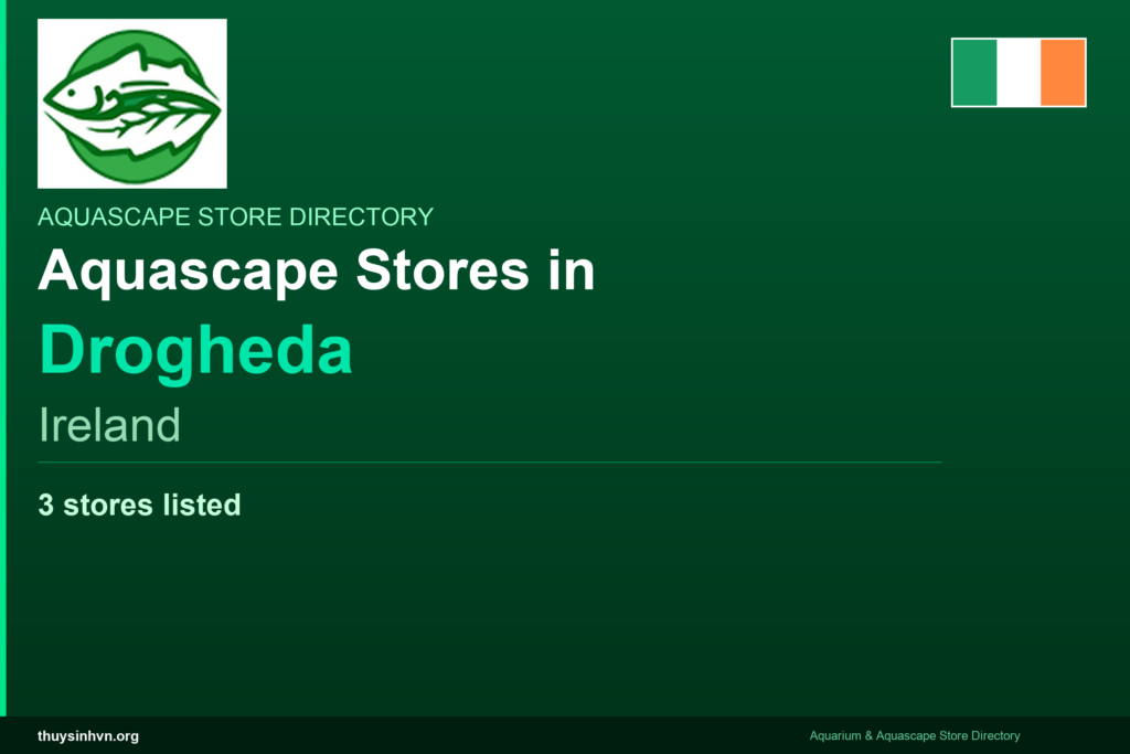 featured_drogheda_ireland - Aquascape & Planted Tank Guide