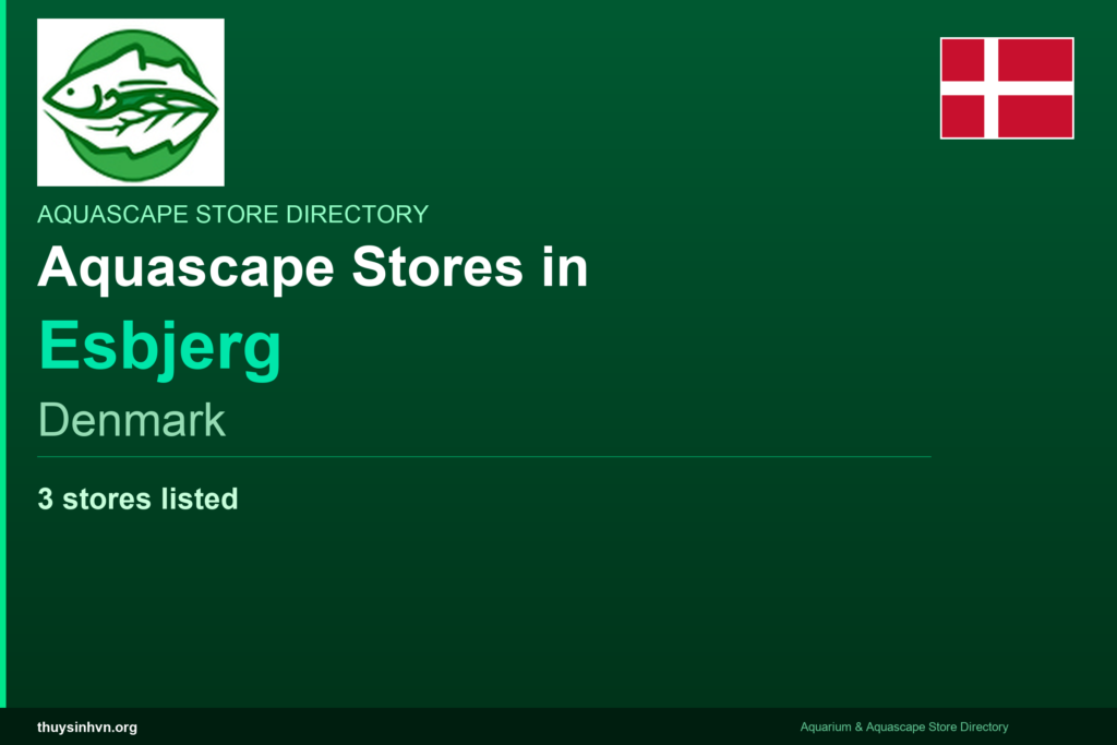 featured_esbjerg_denmark - Aquascape & Planted Tank Guide