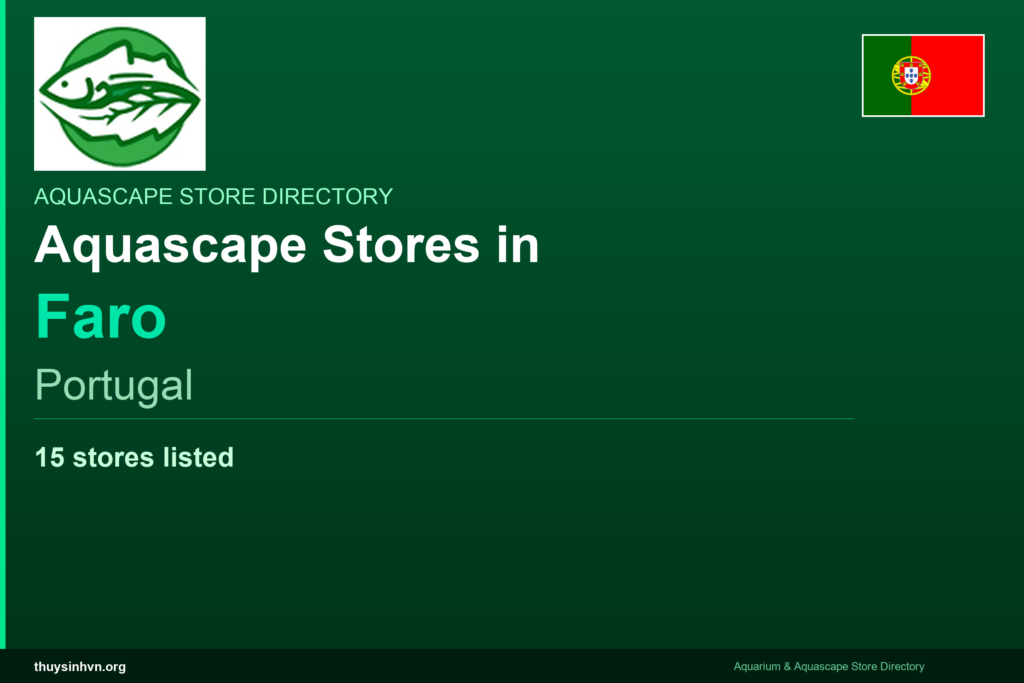 featured_faro_portugal - Aquascape & Planted Tank Guide