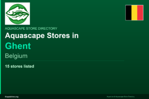 featured_ghent_belgium - Aquascape & Planted Tank Guide