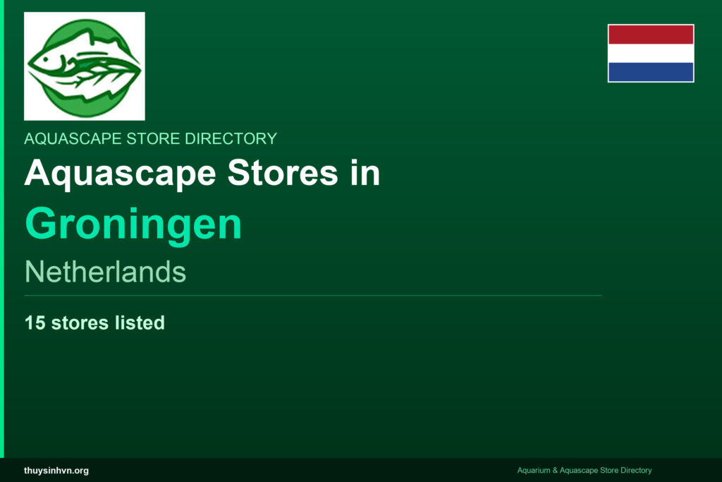 featured_groningen_netherlands - Aquascape & Planted Tank Guide