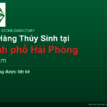 featured_hai-phong_vi - Aquascape & Planted Tank Guide