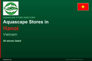 featured_hanoi_en - Aquascape & Planted Tank Guide